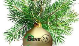 Christmas greetings from Seve